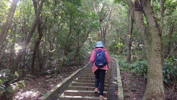 (姨婆趴趴走)第五十五集:攀登健走台北大崙頭尾山親山步道環狀一圈2853711