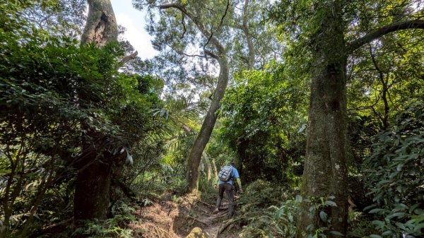 114.08.09溪洲山-新溪洲山之旅2856785