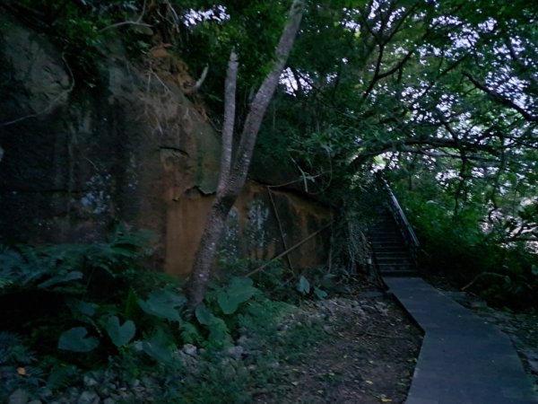 2026微笑山線和美山螢火蟲段3103524