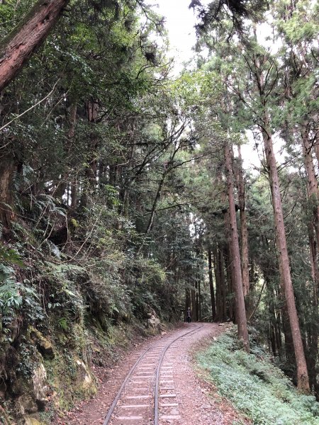 特富野古道健行883292