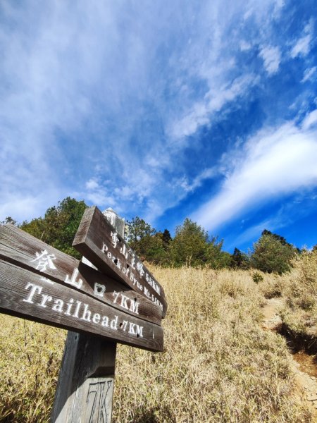 單攻志佳陽2725309