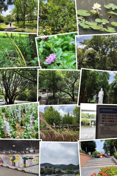 大安森林公園、港墘公園、文德三號公園【走路趣尋寶】【臺北健走趣】2554238