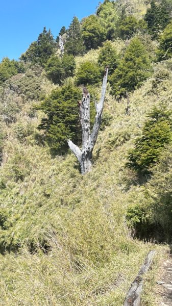東埔-排雲-玉山西峰-玉山主峰2753220