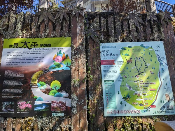 太平山國家森林遊樂區-蹦蹦車3137081