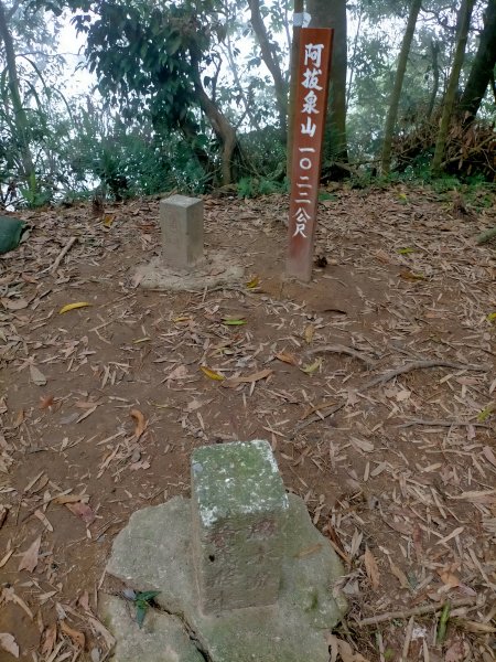 阿拔泉山/觀音石山/紅楠坑山/龜山/大巃頂西北峰/大巃頂/竹松梅步道/獨立山 環狀1718296