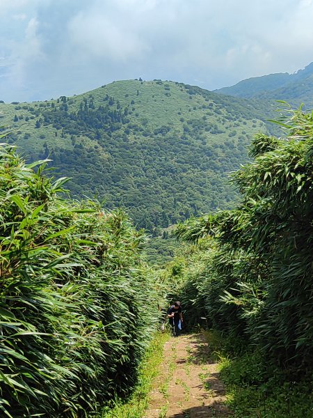 臺北大縱走第三段：小油坑至風櫃口2817676