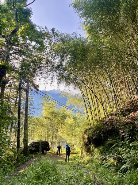 台中和平登觀音山東北峰.神谷山.遠藤山東峰.竹林.達觀山    2022/6/291749910