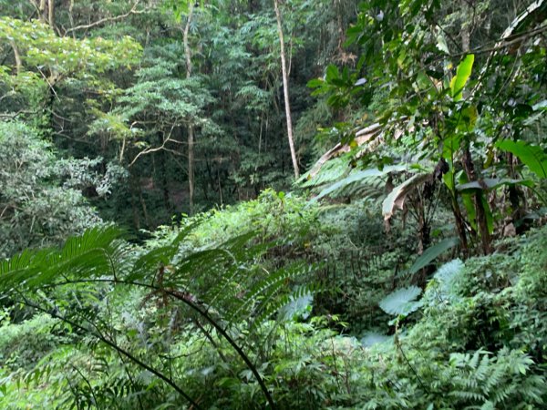 大湖馬拉邦山（小百岳）1065691