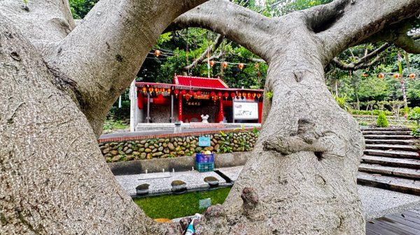 擁抱自然擁有文化2811671