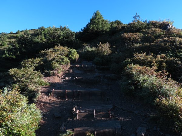 113.7.30合歡山西峰+北峰(一日單攻)凱米颱風後2562264