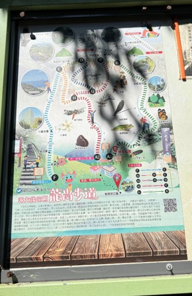 槓子寮山(小百岳#04)走砲台順遊茵夢湖2907286