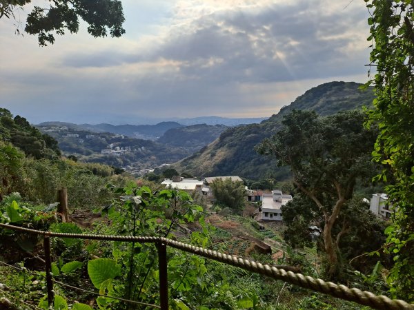 20240201故宮-狗殷勤古道-平菁街賞櫻-溪山百年水圳步道-平菁步道2458461