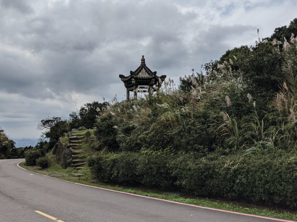 碧山 梅花山 五指山 帕米爾公園1161267