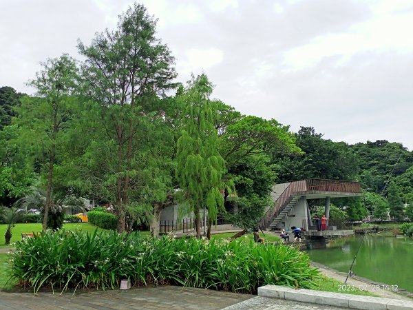 湖山六號公園、大湖公園、大港墘公園 2-2【走路趣尋寶】2263160