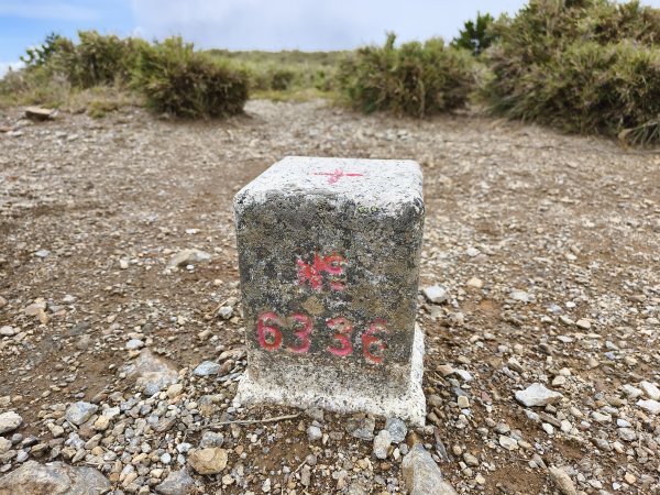 北一段(10/14)馬比杉山 2025_0906~132887145