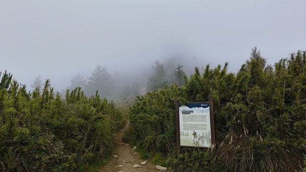 雪山西稜3135045