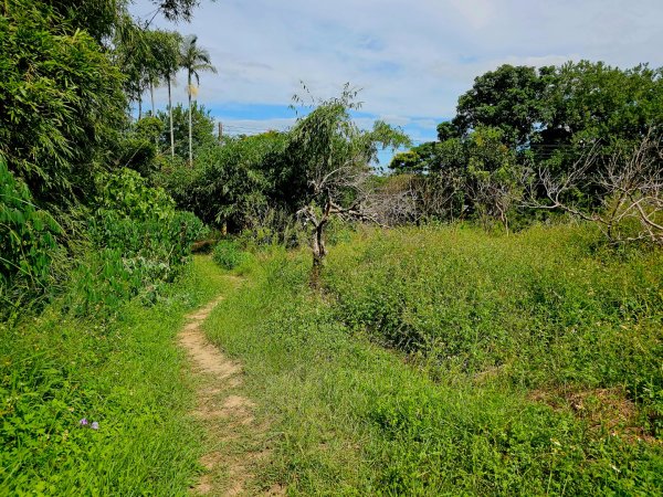 漢卿步道/秀才步道-2025森遊竹縣皮皮獅探險隊2890073