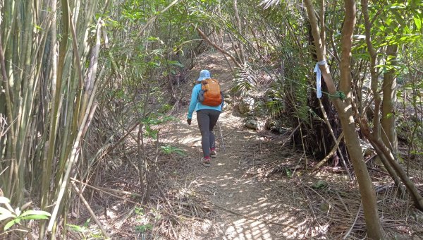 (姨婆趴趴走)第四十九集:攀登連走宜蘭梗枋山、橋板湖山2747723