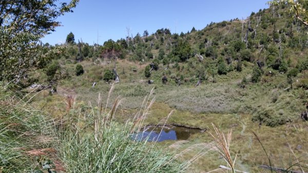 加羅一日輕鬆自在逍遙遊664566