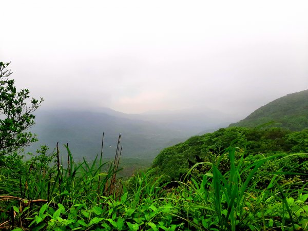 走遍陽明山：擎天崗系｜迷霧中的草原祕境、古道幽境2123780