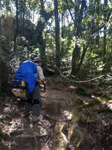 台版富士山「加里山」(小百岳#34) 2020/12/191424809
