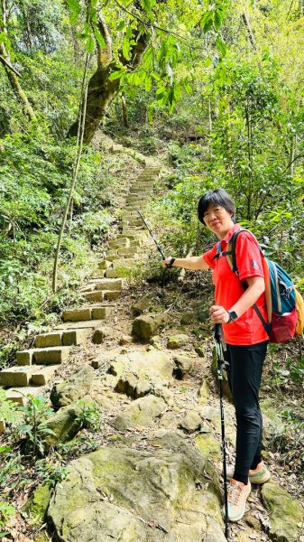 1140419鳴鳳古道2765864