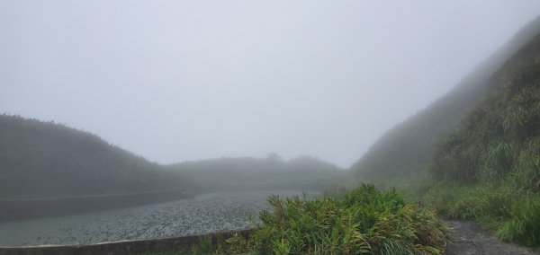 2021-09/19-宜蘭礁溪- 抹茶山三角崙山1466453