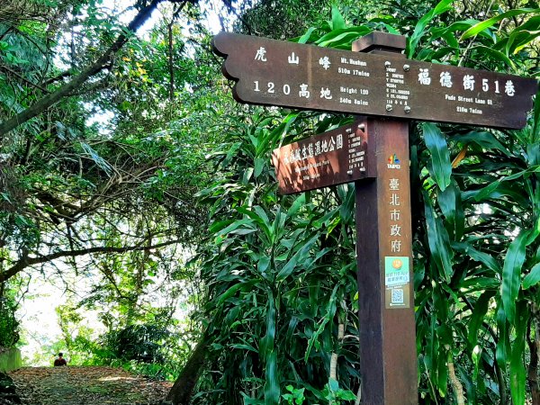 環台步道馬拉松之虎山、豹山、仙跡岩1907332