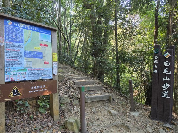 谷關七雄｜白毛山3131392