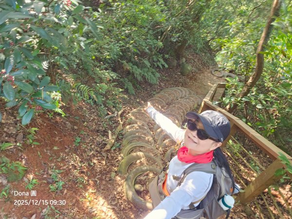 20251215林口森林步道+太平嶺海濱步道2969349