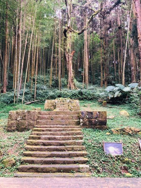 1090216奮起湖木馬古道、衫林步道840143