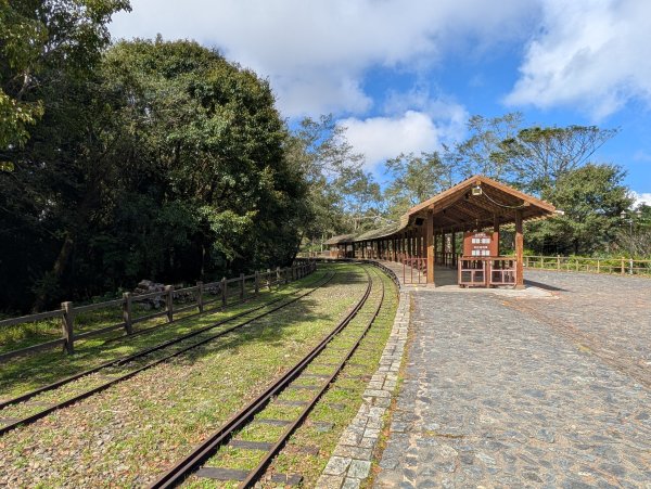 二訪阿里山國家森林遊樂區之大塔山對高岳之旅2991651