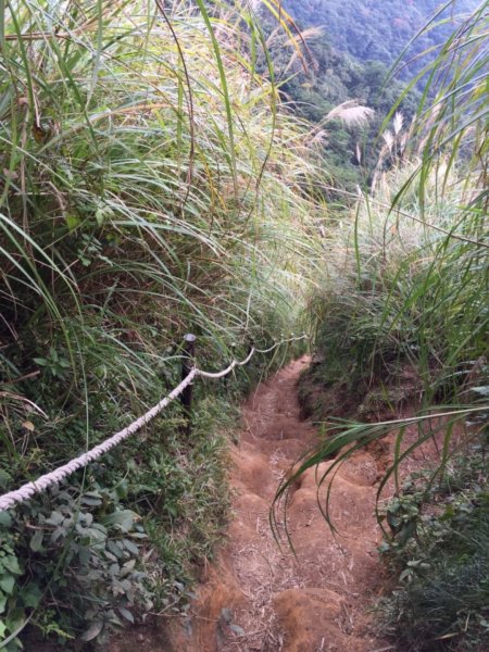 大屯山西峰 南峰 主峰20181204483255