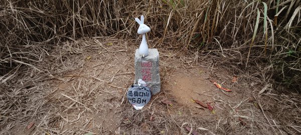 2025/12/21_口山古道O型2968557