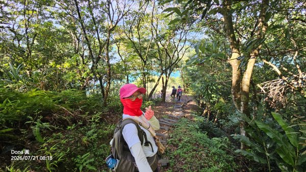 小格頭獅頭山.鱷魚島.八卦茶園3089962