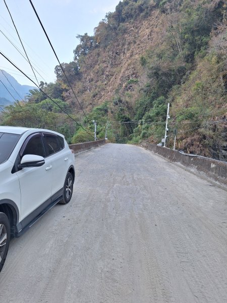 神木村千年樟木202512112959521