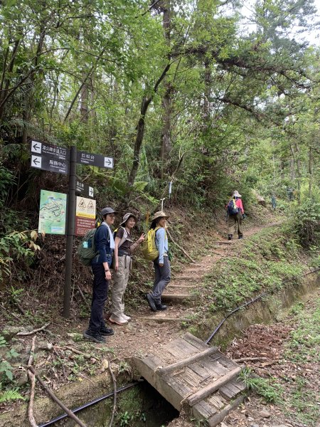 20260509南投小出山3055107