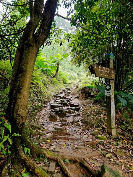 2026年臺北大縱走第六段：中華科技大學至捷運麟光站3026043