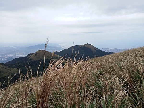 【臺北大縱走 2】鞍部→大屯群峰→清天宮1276415