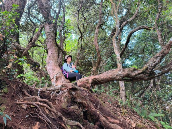 1130511夫拉縱走2500148