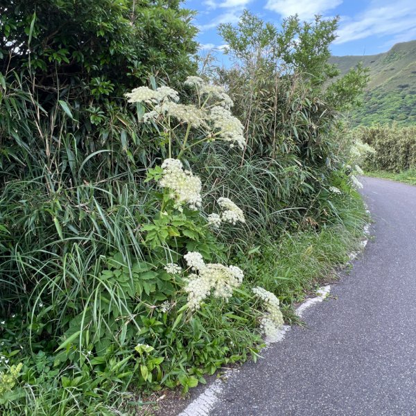 百拉卡公路人車分道步道2168427