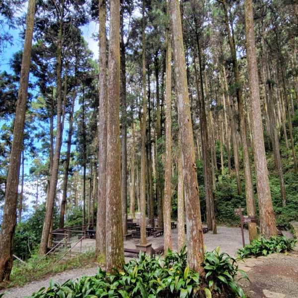 藤枝國家森林遊樂區（小百岳）2291823