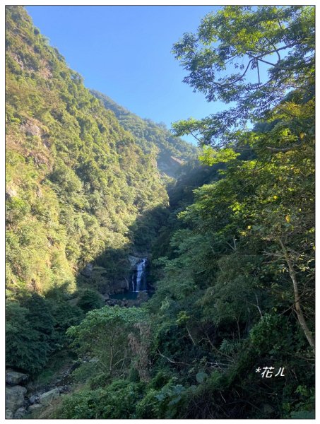 鳳凰谷鳥園步道2695900