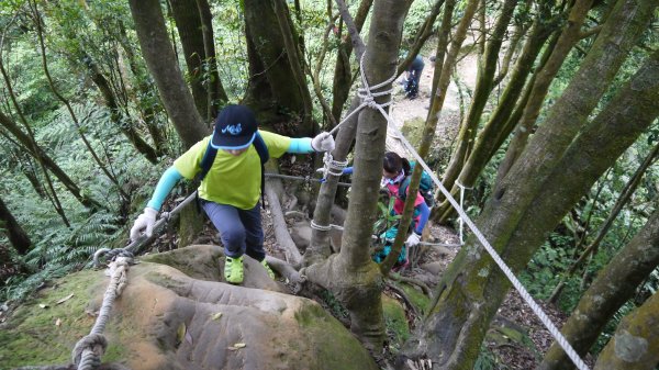 猴山岳縱走二格山登山健行趣(小百岳17號)1539390