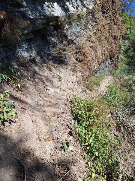 石山引水道202512112959551