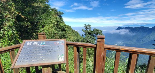 2022-10-15金柑樹山、忘憂森林步道1880344