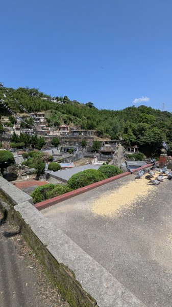 不是臺北大縱走63042940