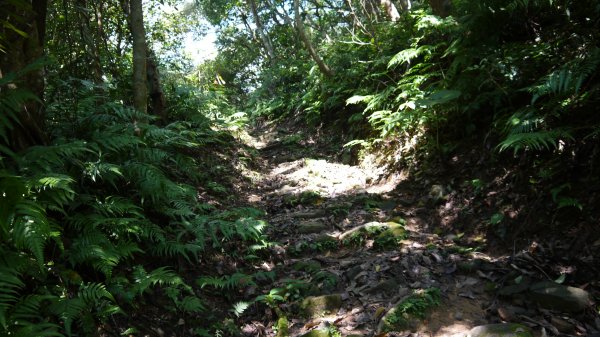 石空古道登山健行趣(淡蘭中路TK2-19)1521219