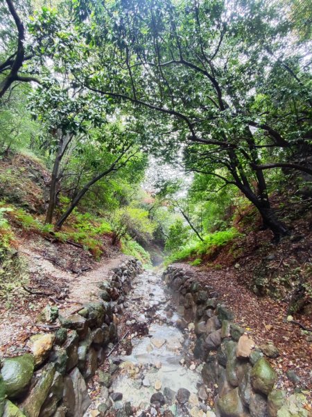 2026年元旦升旗快閃七星順探紫明溪2973998