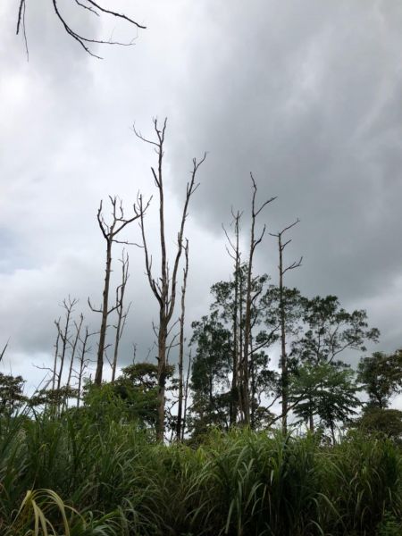 1070715聖母山莊393551